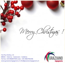 Buone Feste dalla Graziano Ingegneria